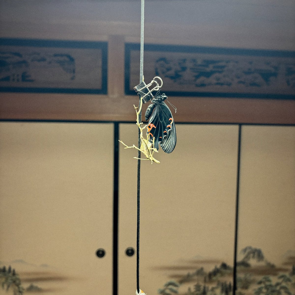 shoko*|| BOOTH tweet media