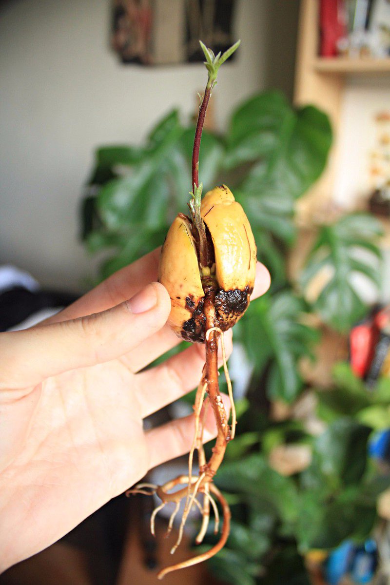 Agnieszka Bodnar tweet media