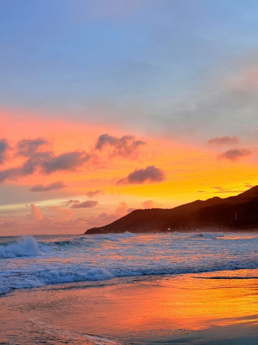 Anya Benoit tweet media