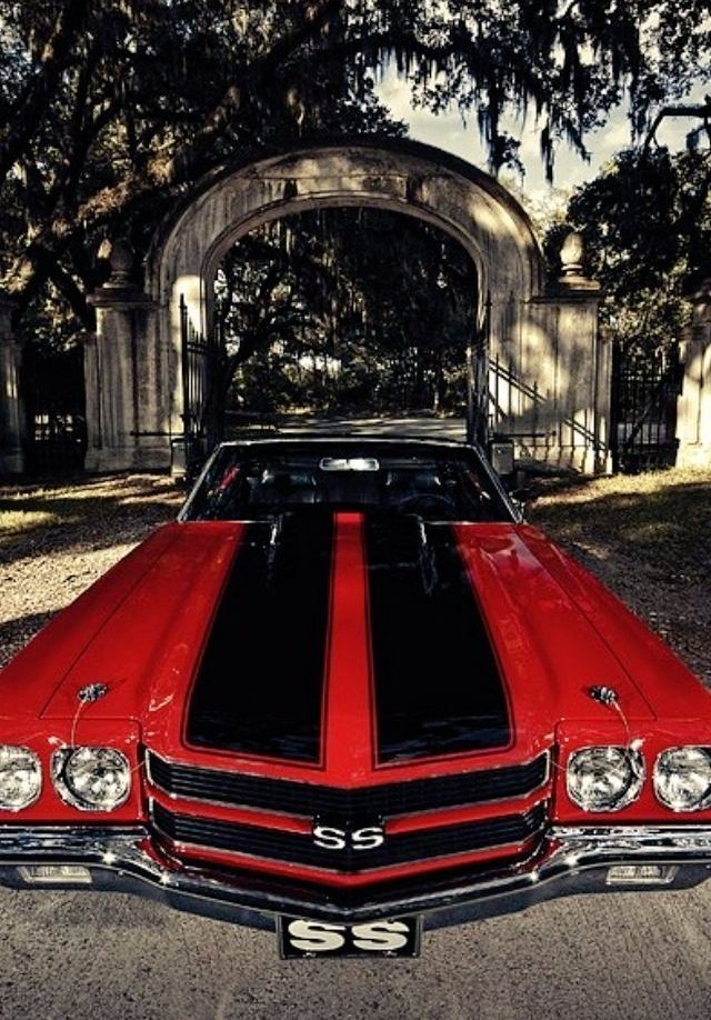 💫TERI💫 tweet media