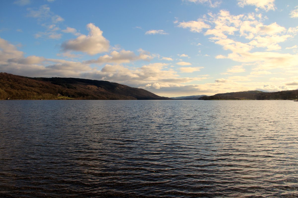 Countrystride tweet media