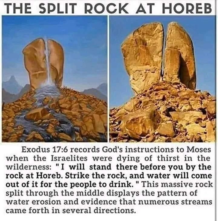 Life Truth Way tweet media