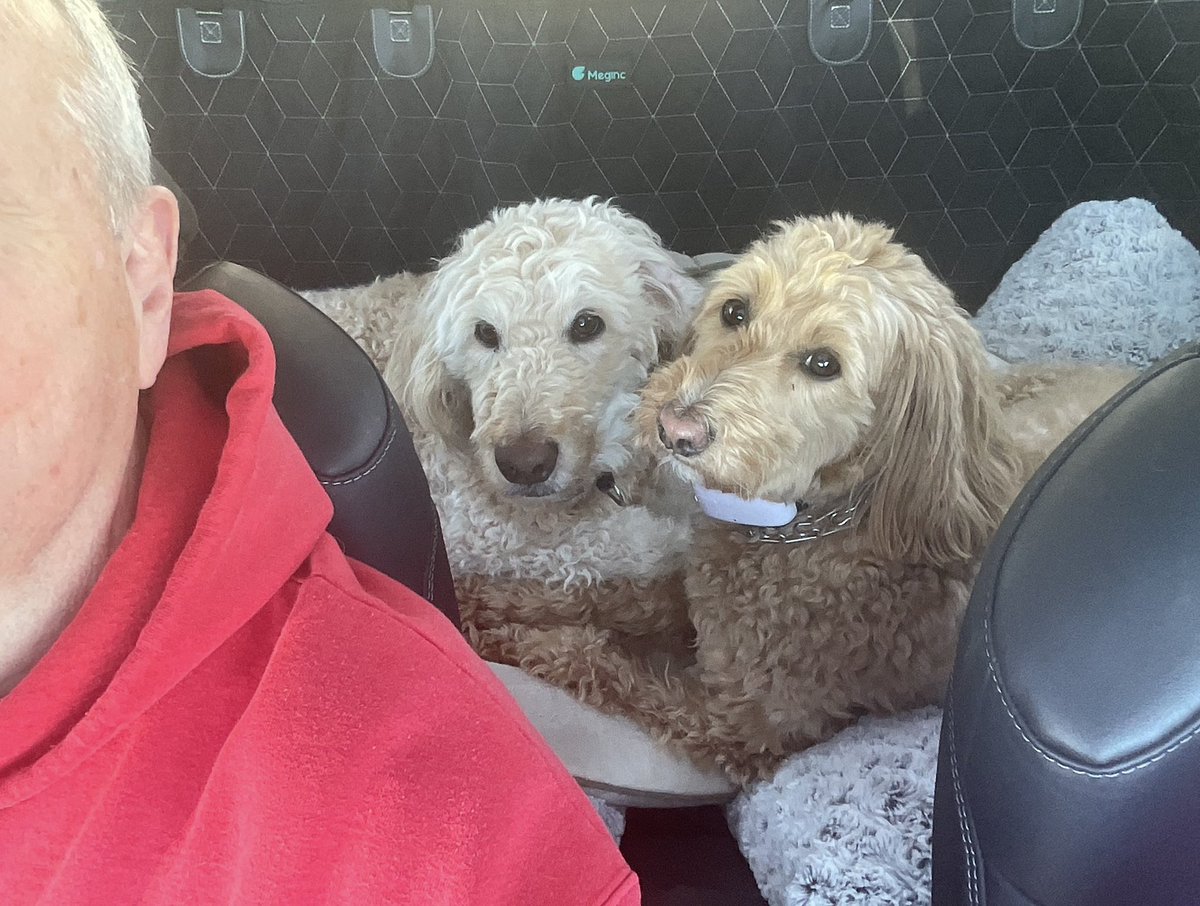 Evan Massey tweet media