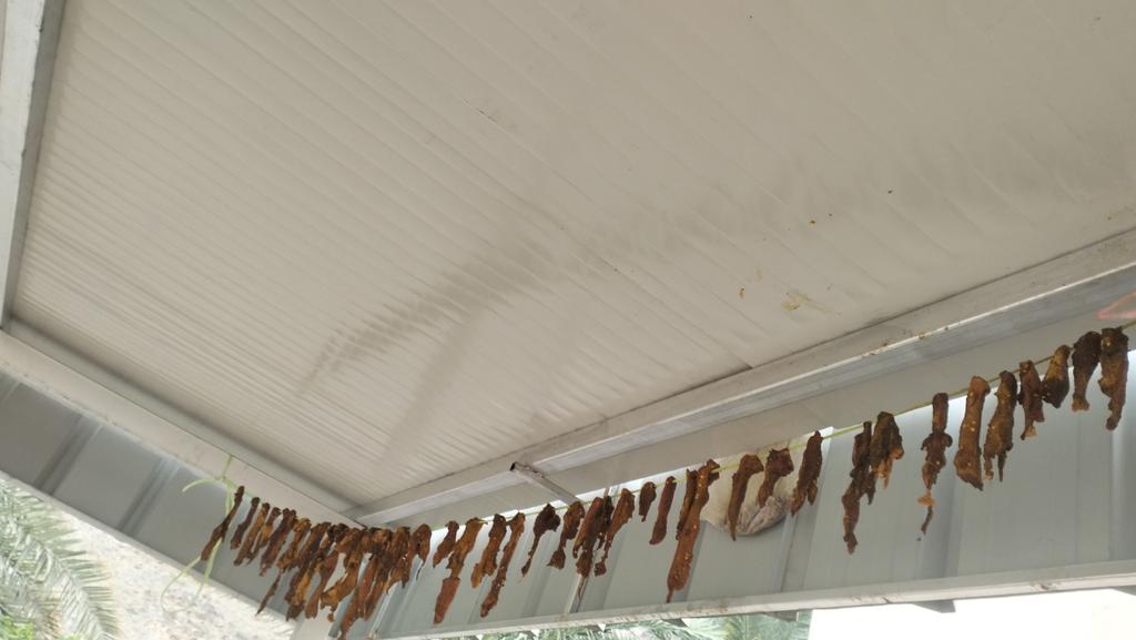 ولد الرستاق tweet media