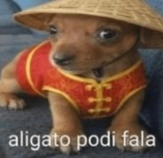 𝐒𝐭✰𝐫𝐠𝐢𝐫𝐥 tweet media