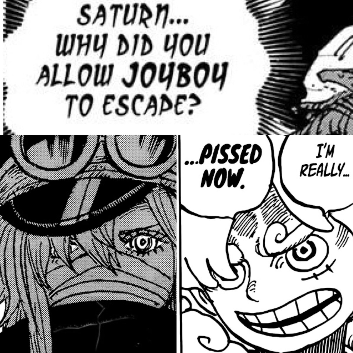 DLuffy☀️ tweet media