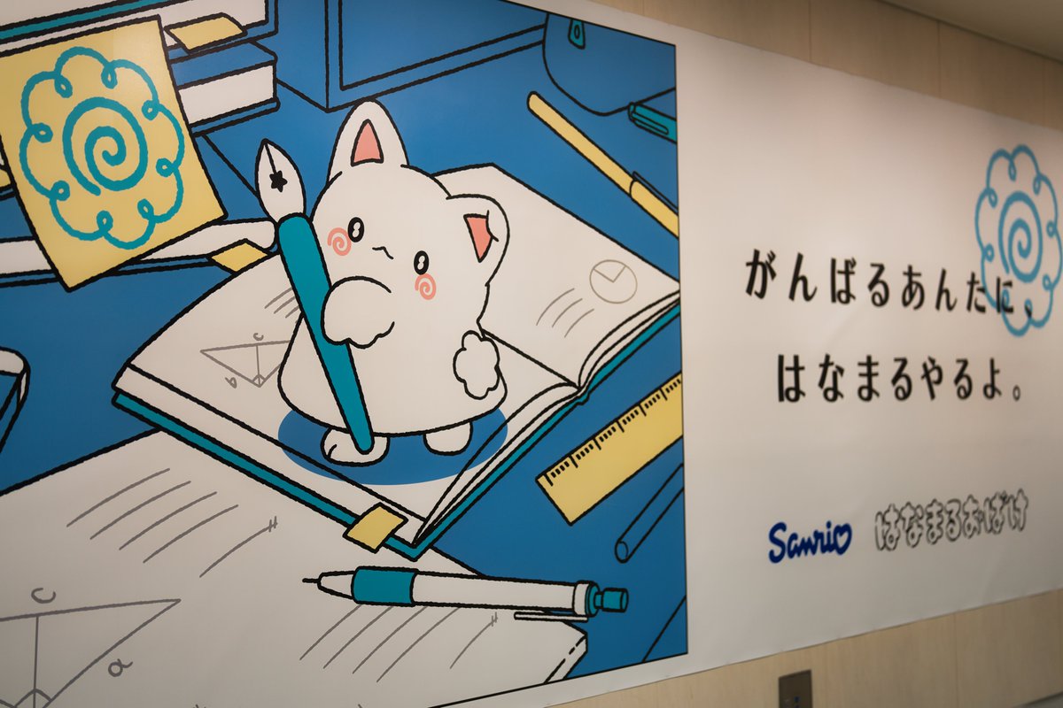 カシコ tweet media