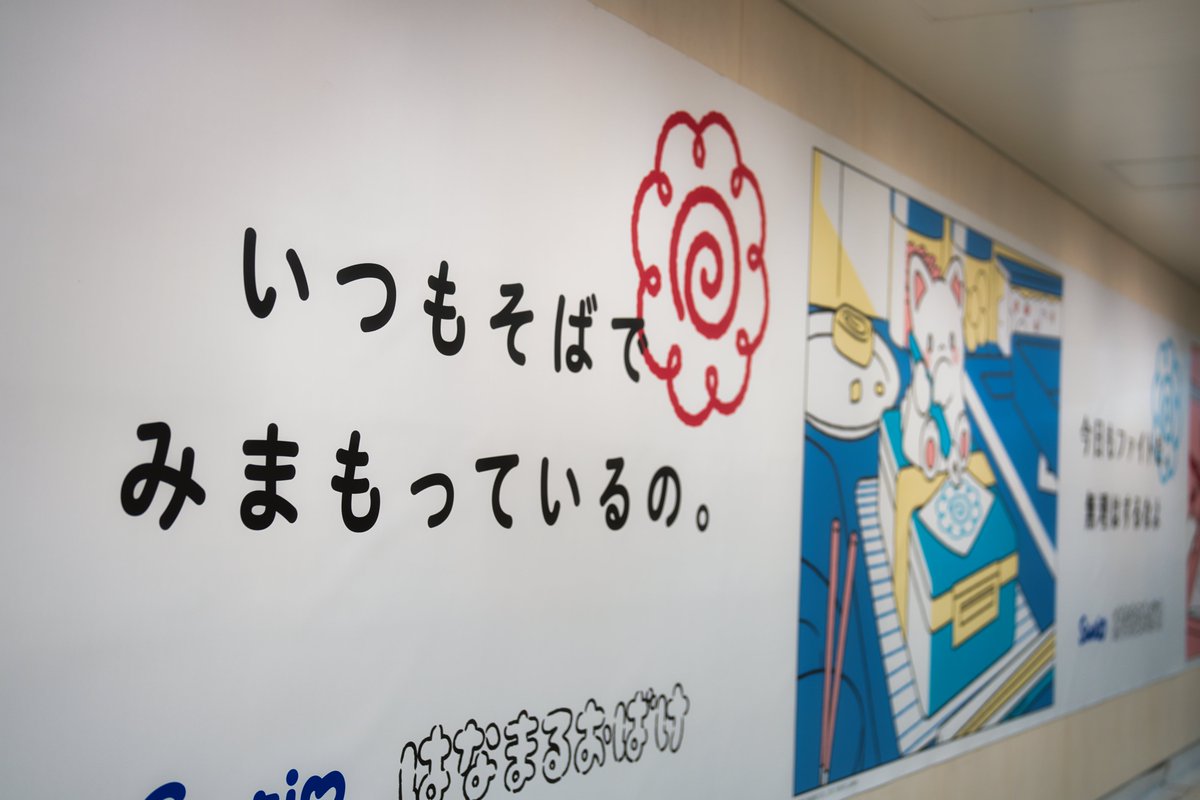 カシコ tweet media