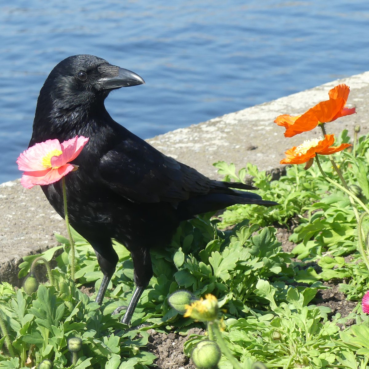 Jason Cann tweet media