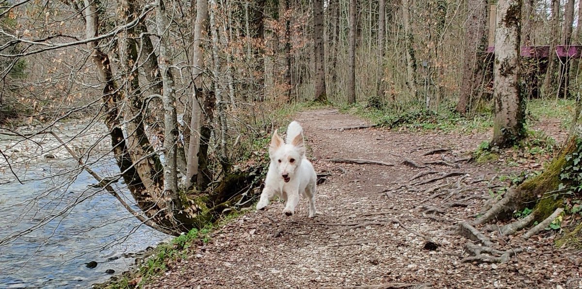 AUT TÁO tweet media