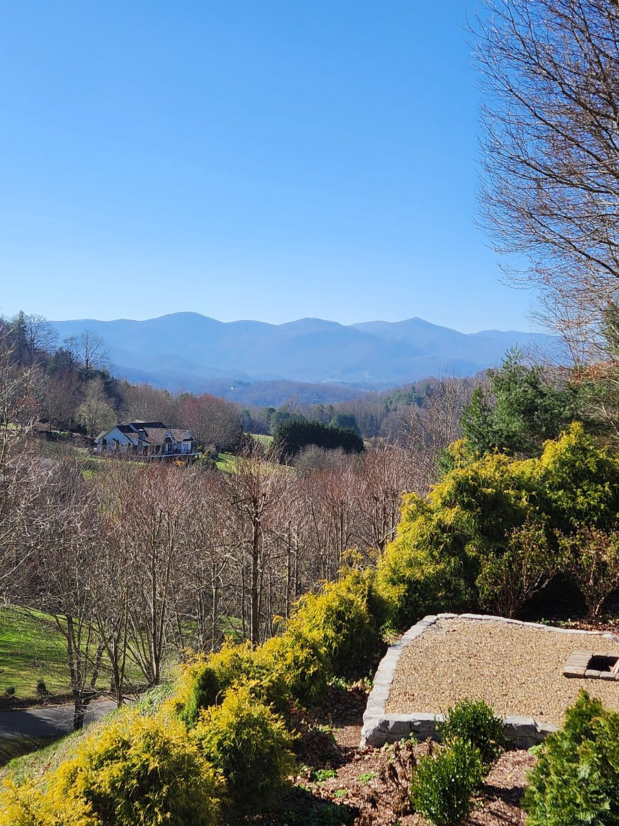 ✍️Dr. J. | Donna Jennings, Ph.D., Author | Editor tweet media