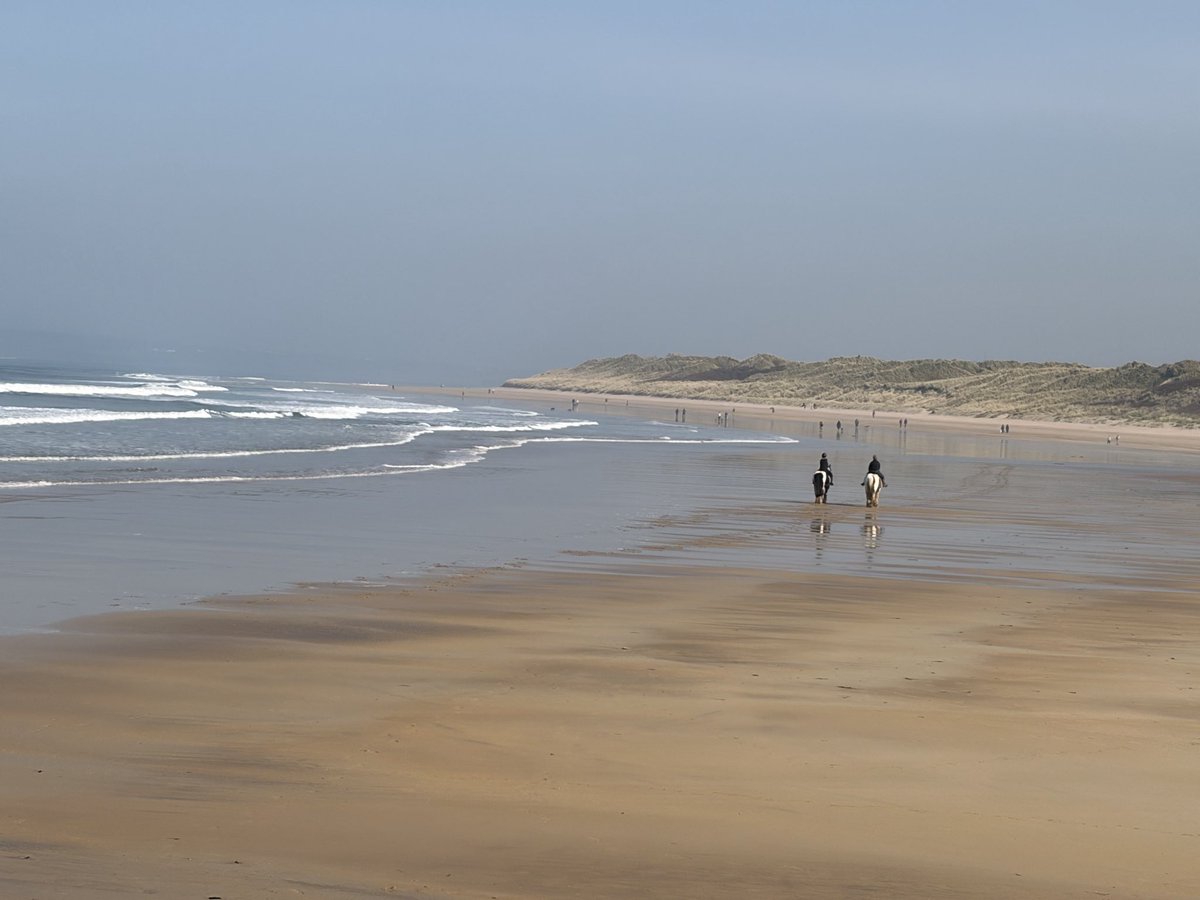 Tweeter of Wit tweet media