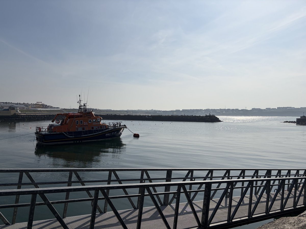 Tweeter of Wit tweet media