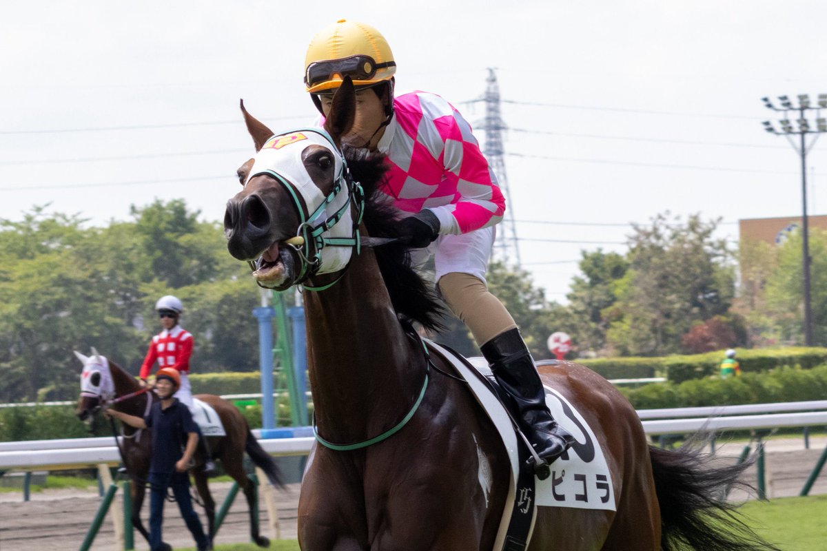 ピコレーシング tweet media