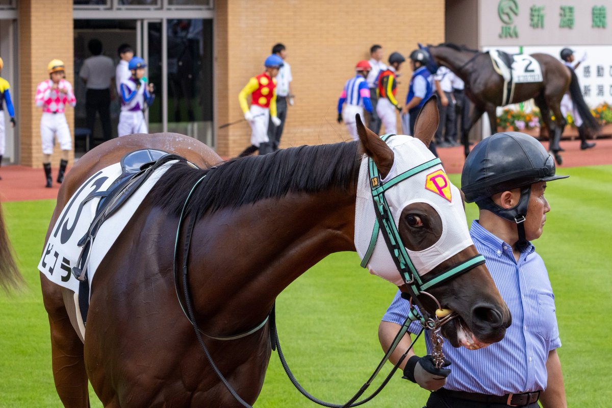 ピコレーシング tweet media