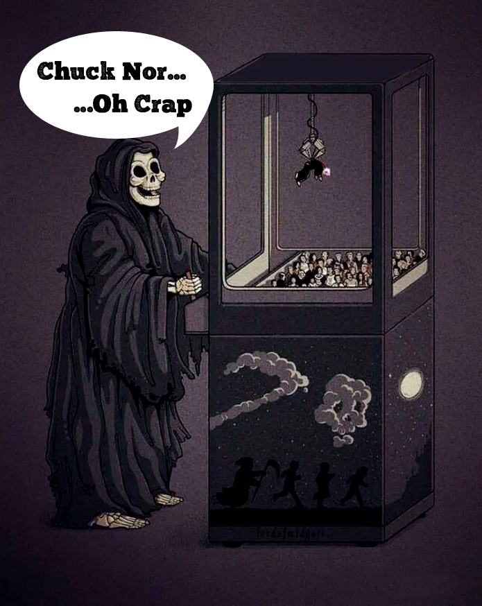 AnAmerican Homestead tweet media