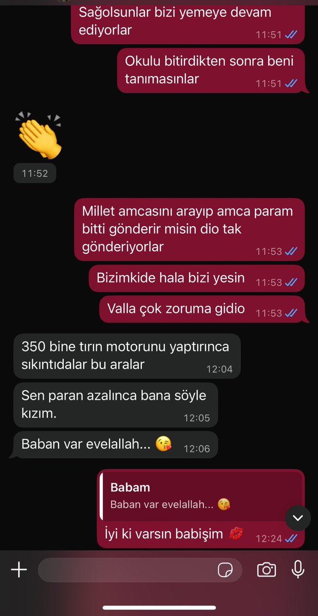 Sedef Fil tweet media