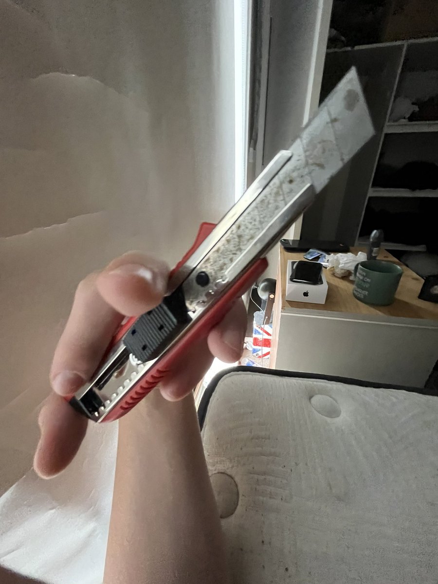 ❄️⛧ rory // cafv ⛧ ❄️ tweet media