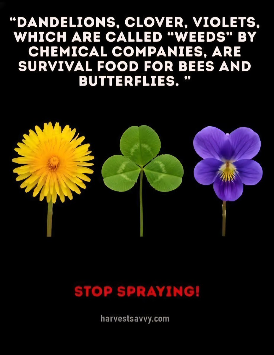 ⚜️🪬𝕂𝕖𝕣𝕣𝕚𝕖🪬⚜️ tweet media