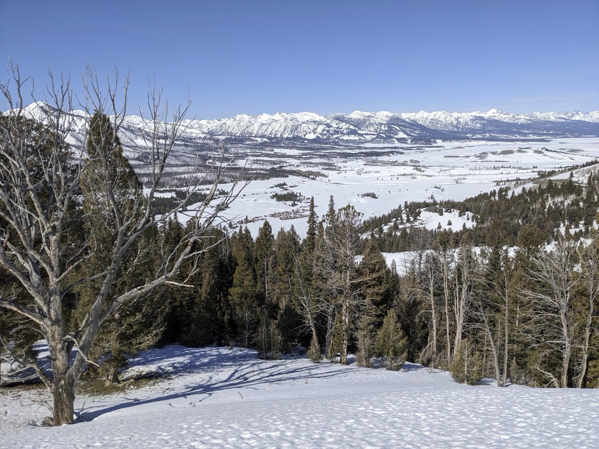 𝙲𝚑𝚊𝚛𝚕𝚎𝚜 𝙲. 𝙼𝚊𝚗𝚗 tweet media