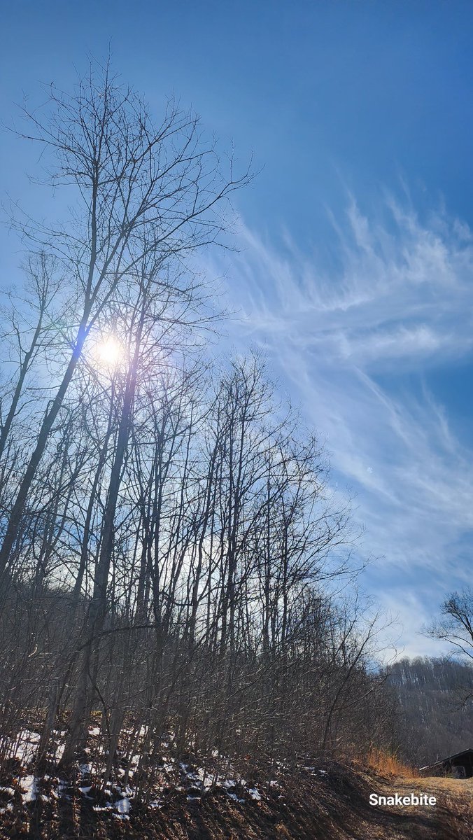 Snakebite Hoffman tweet media