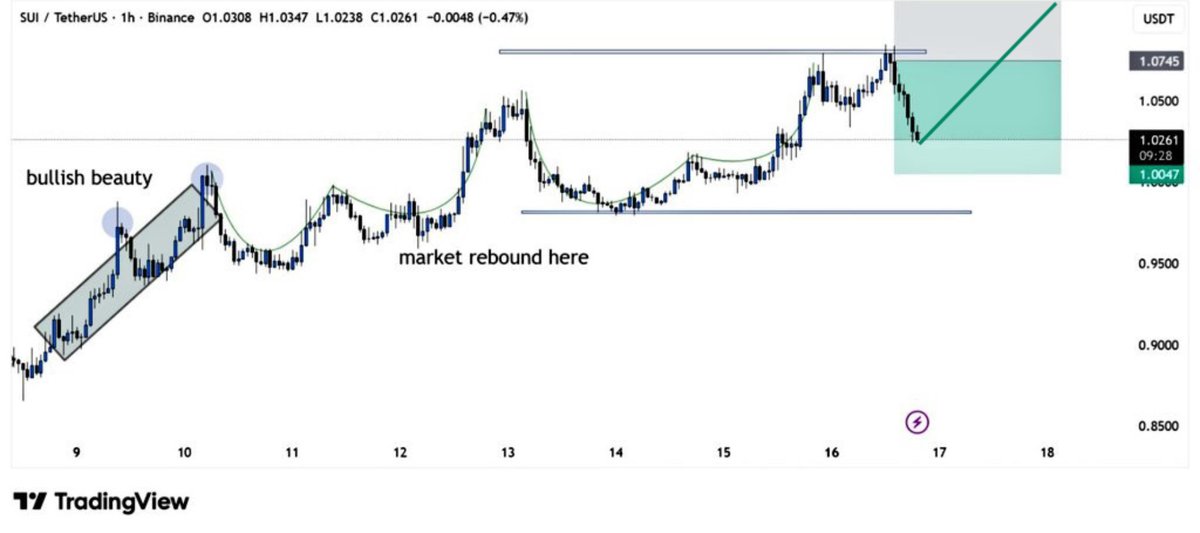 Sui Intern tweet media