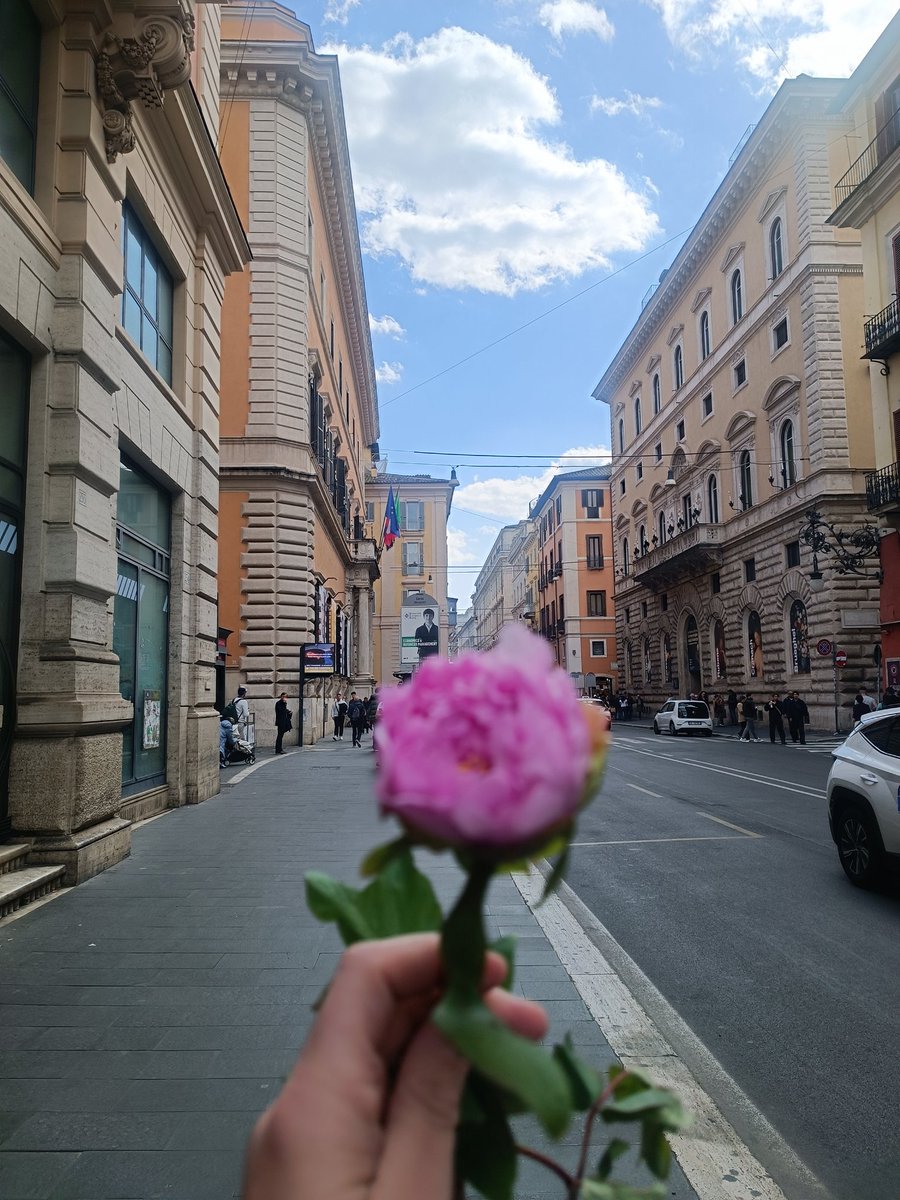 sim010101's tweet photo. Ottimista giornata!
#Romma oggi ❤️❤️❤️❤️
Era da tanto tempo che non ricevevo fiori 🌸 da uno sconosciuto. Che bel gesto!
1/4 https://t.co/Y0wAGtz1Il