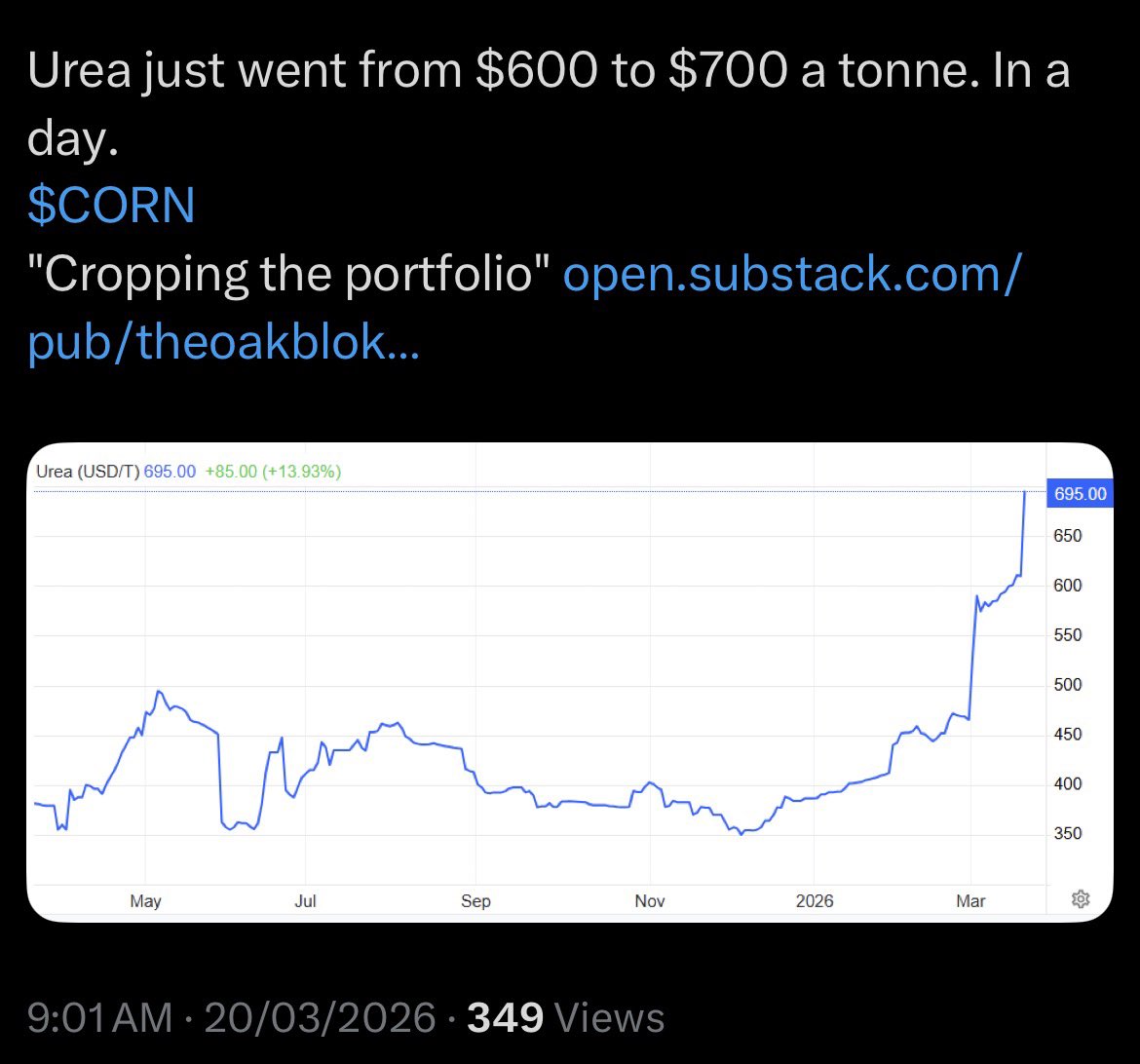 Lucas Sacerdote🔋 tweet media