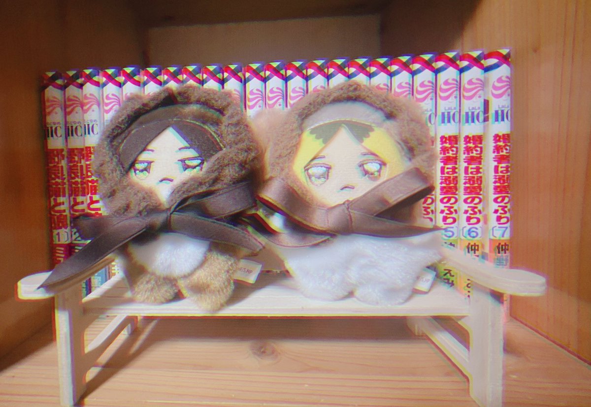 ねこ汰 tweet media