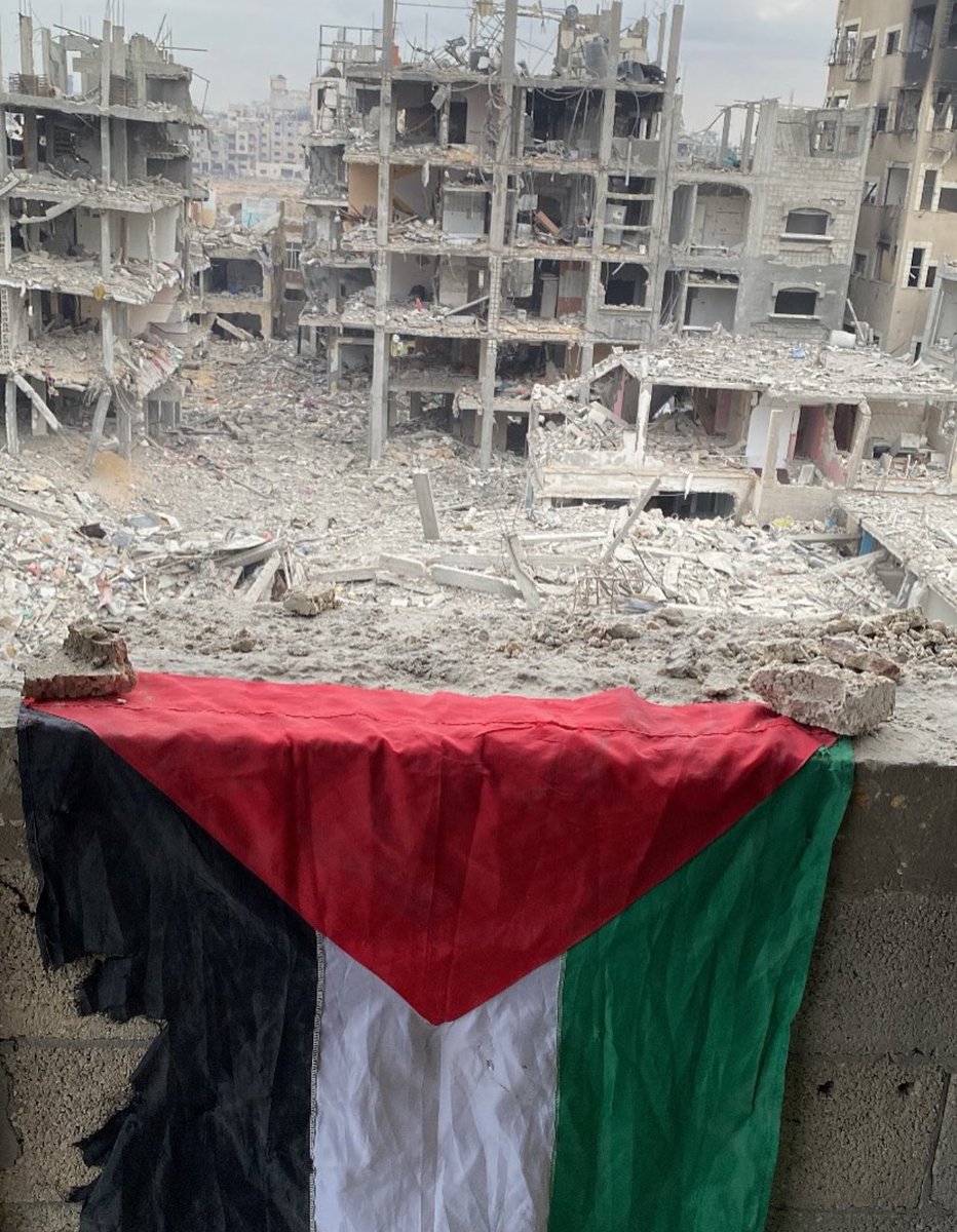 Nermeen from Gaza 𓂆🇵🇸🍉 tweet media