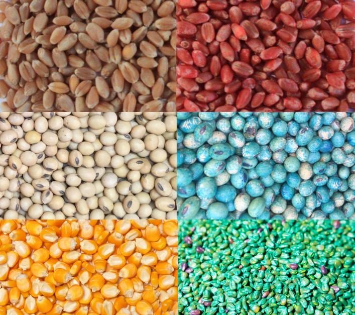 Farmer Ash (from the Strong Sistas) tweet media