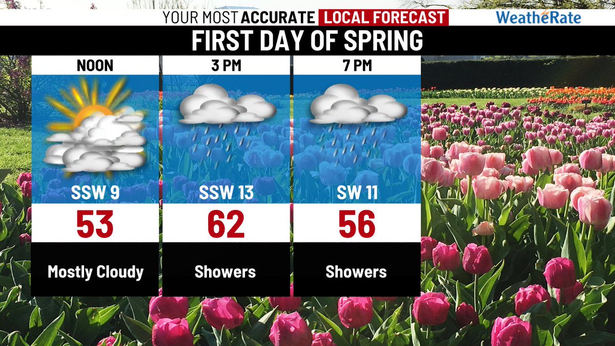 Summer Trolli tweet media