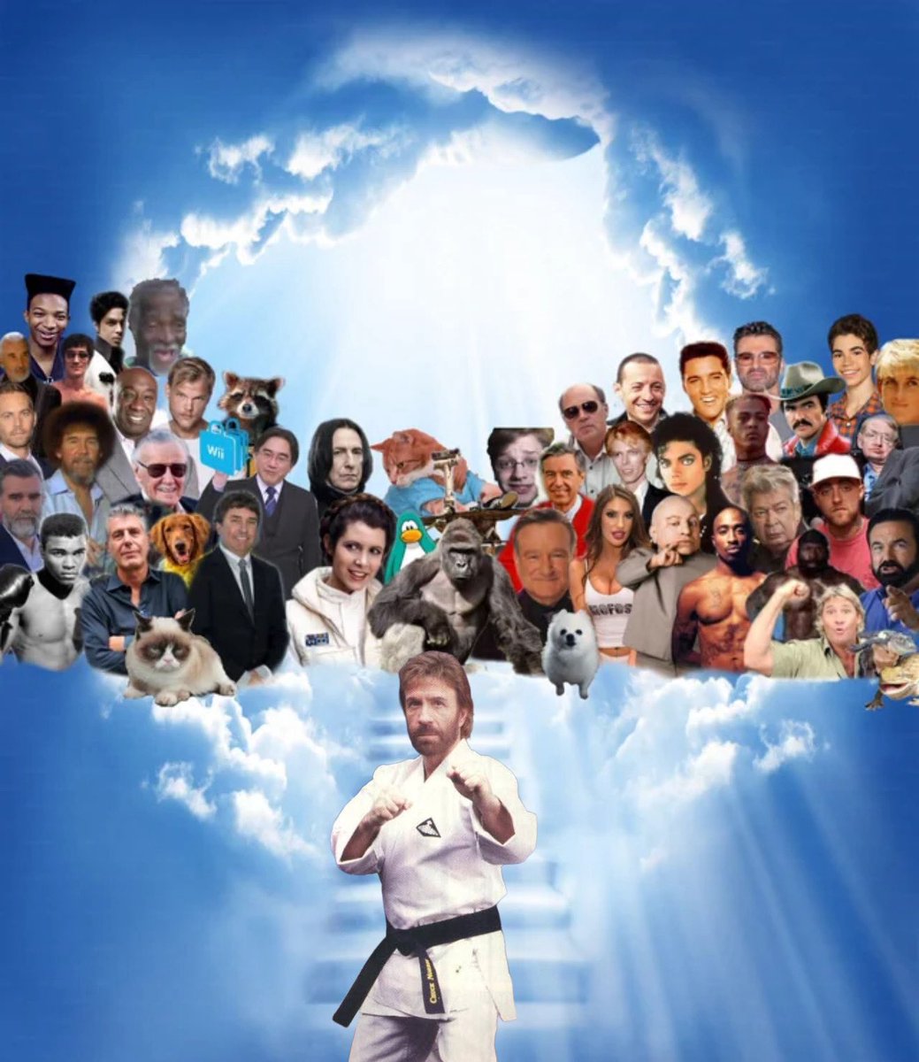 Mostly Peaceful Memes tweet media