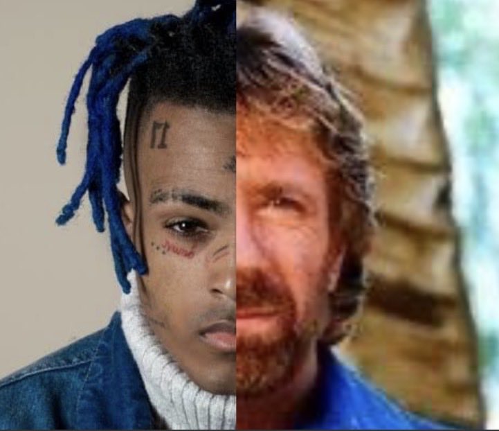 Mushroom Fiona stan tweet media