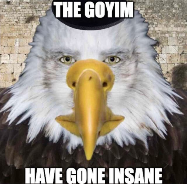 Goyim tweet media