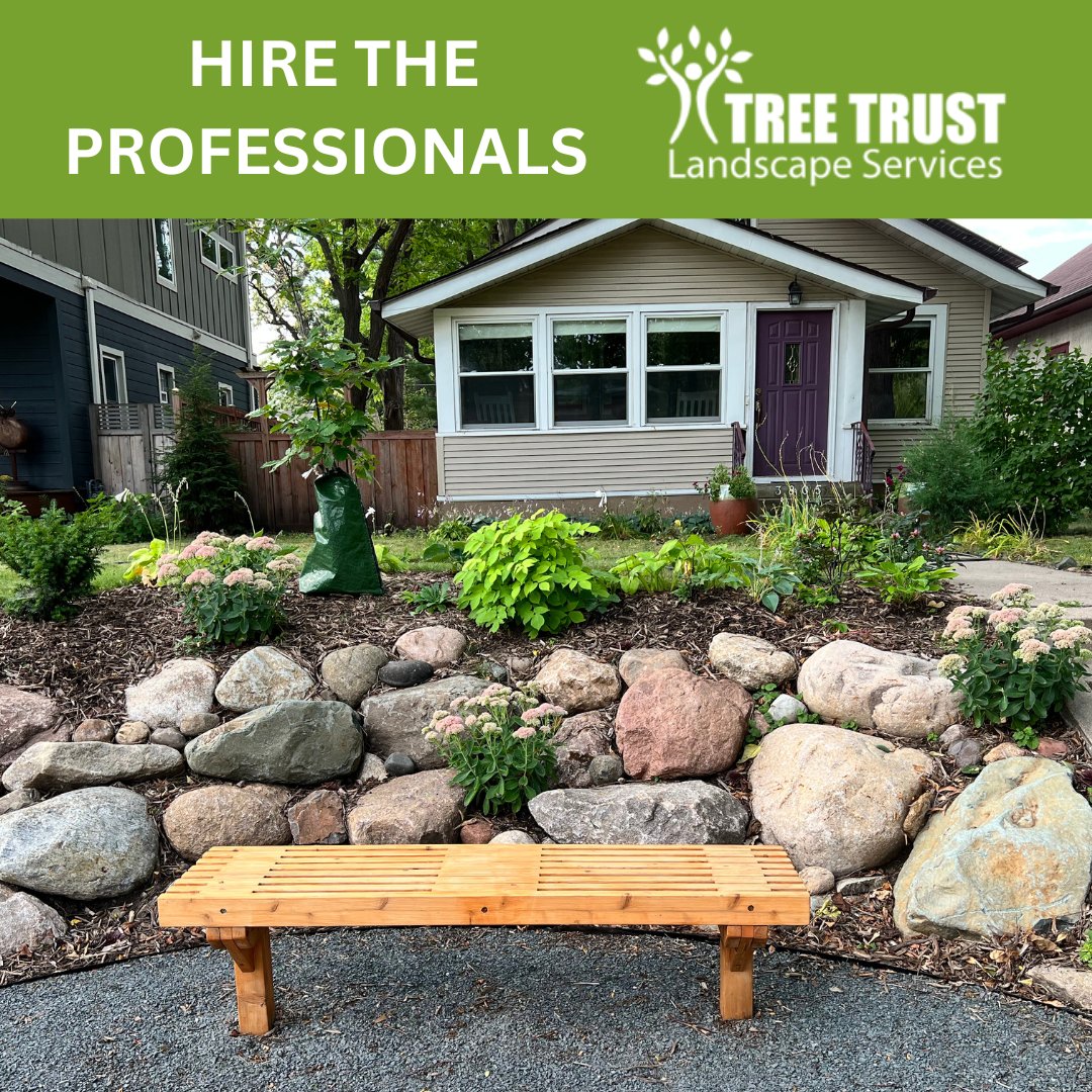 Tree Trust tweet media