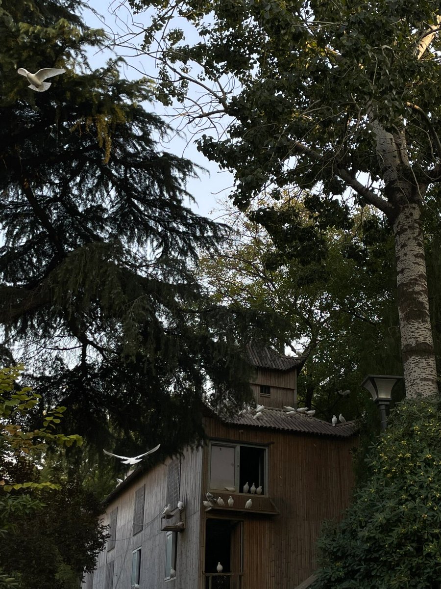 Marionique tweet media