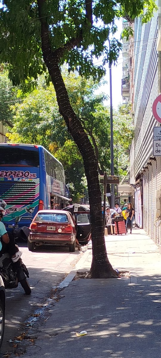 silvina beron tweet media