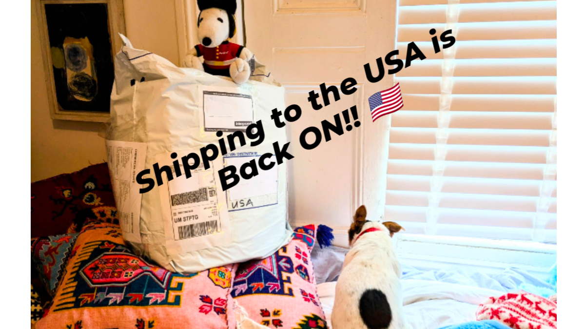 Babes n Horny tweet media