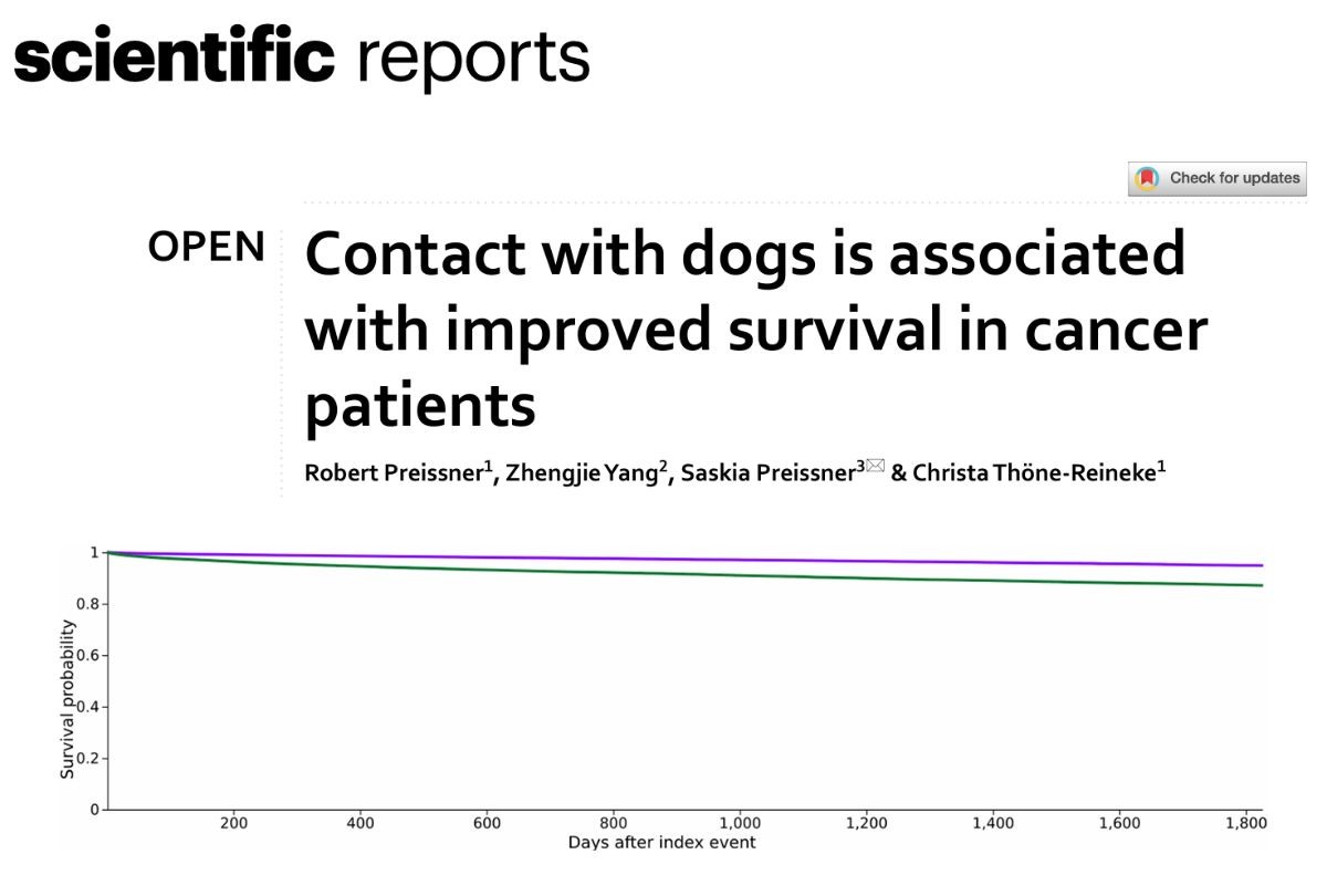 Jon Willbanks tweet media