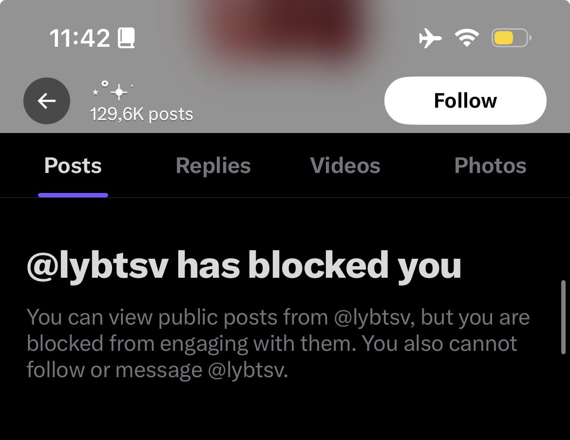 yasmim renault 🧙♀️ tweet media