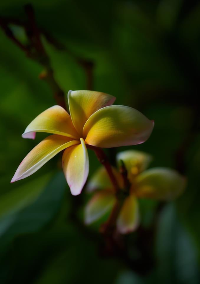 IntegralAnswers tweet media