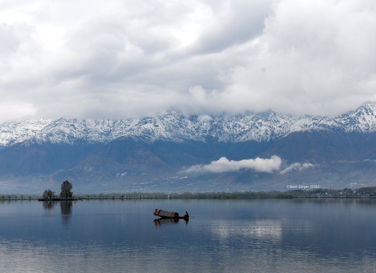 Basit Zargar (باسط) tweet media