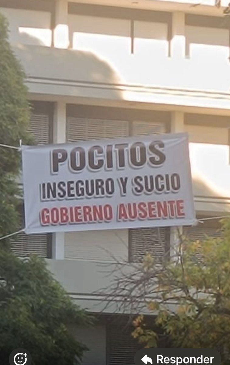 Gonzalo Maciel tweet media