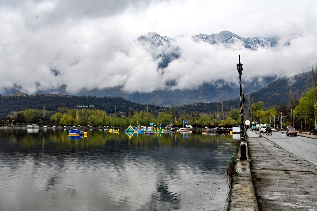 Basit Zargar (باسط) tweet media