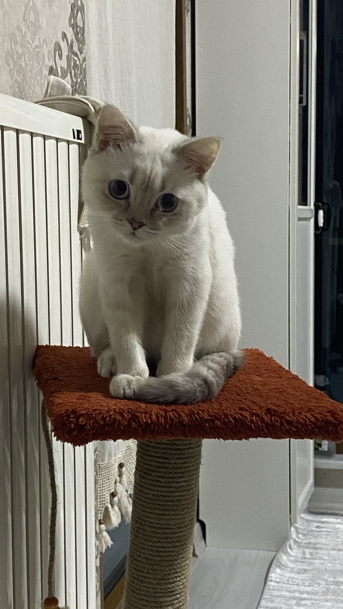 DNZHRP 🇹🇷𝓕𝓮𝓷𝓮𝓻𝓫𝓪𝓱𝓬𝓮¹ ⁹ ⁰ ⁷ 𓅪 tweet media