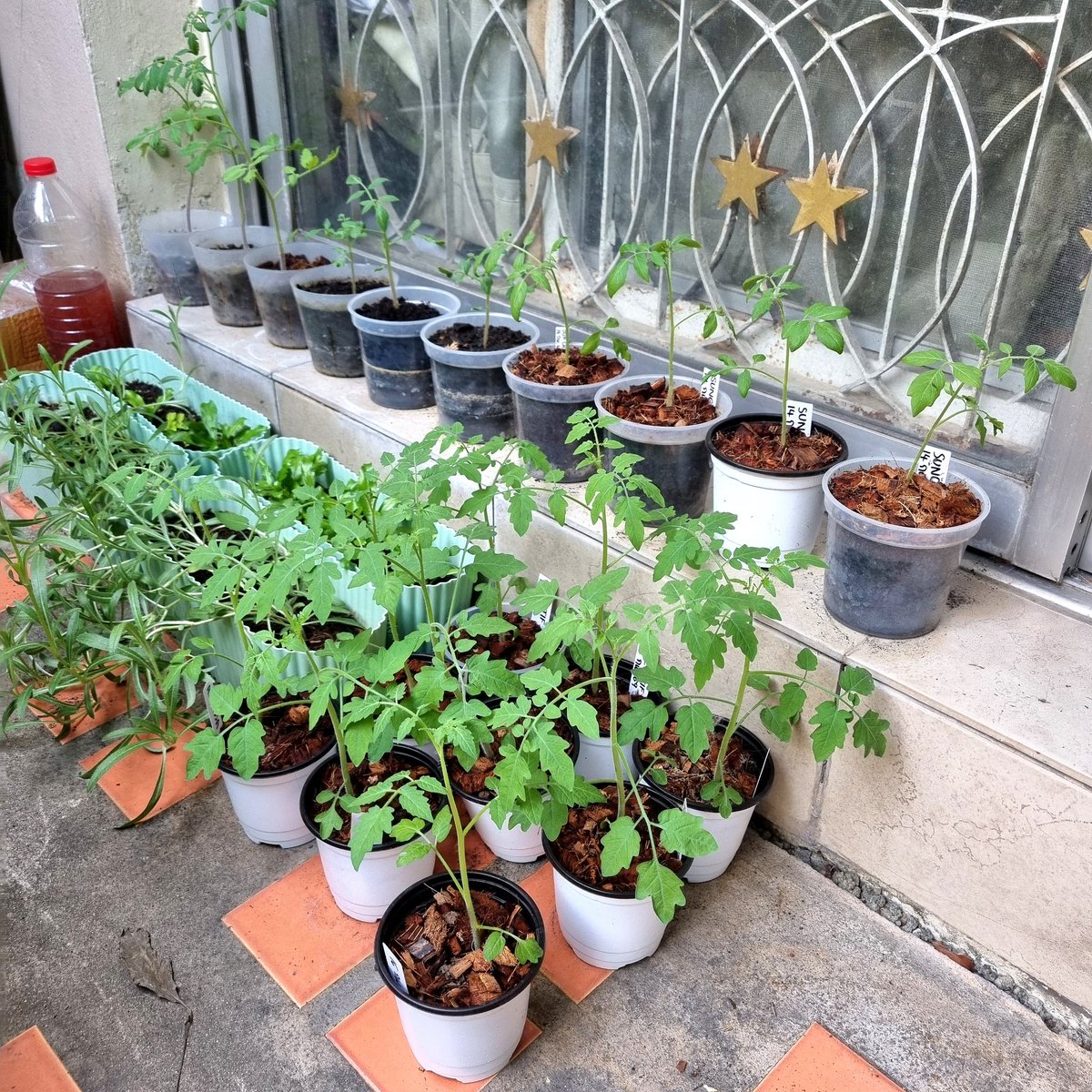 Shizen.Handmade 🌻 tweet media