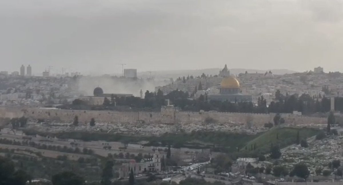 Lorena Khateeb | لورينا خطيب tweet media