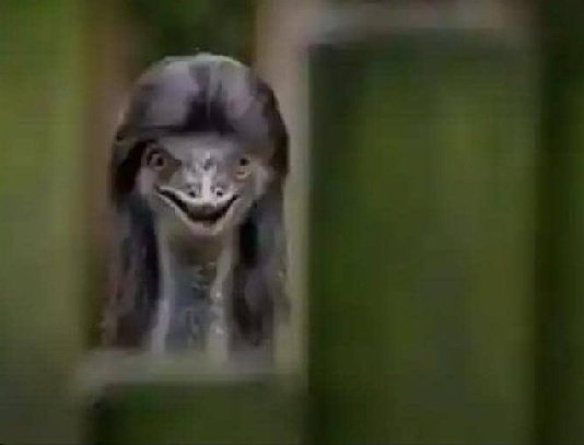 ᴛʜᴇ ғᴜᴛᴜʀᴇ𝐗 tweet media