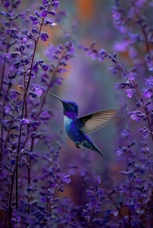 Carlos Rivera Ortega tweet media